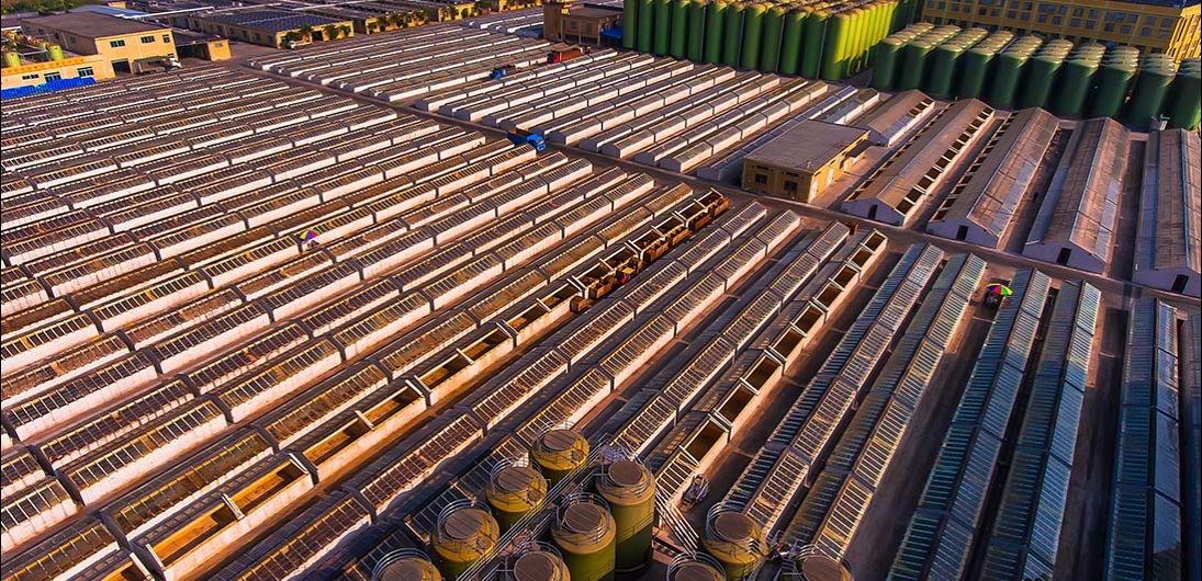 ̸��ɹٷ���վ - רҵ��������ƽ̨